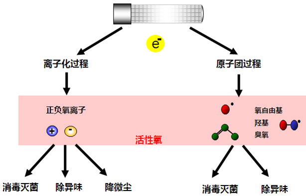 活性離子除臭設(shè)備